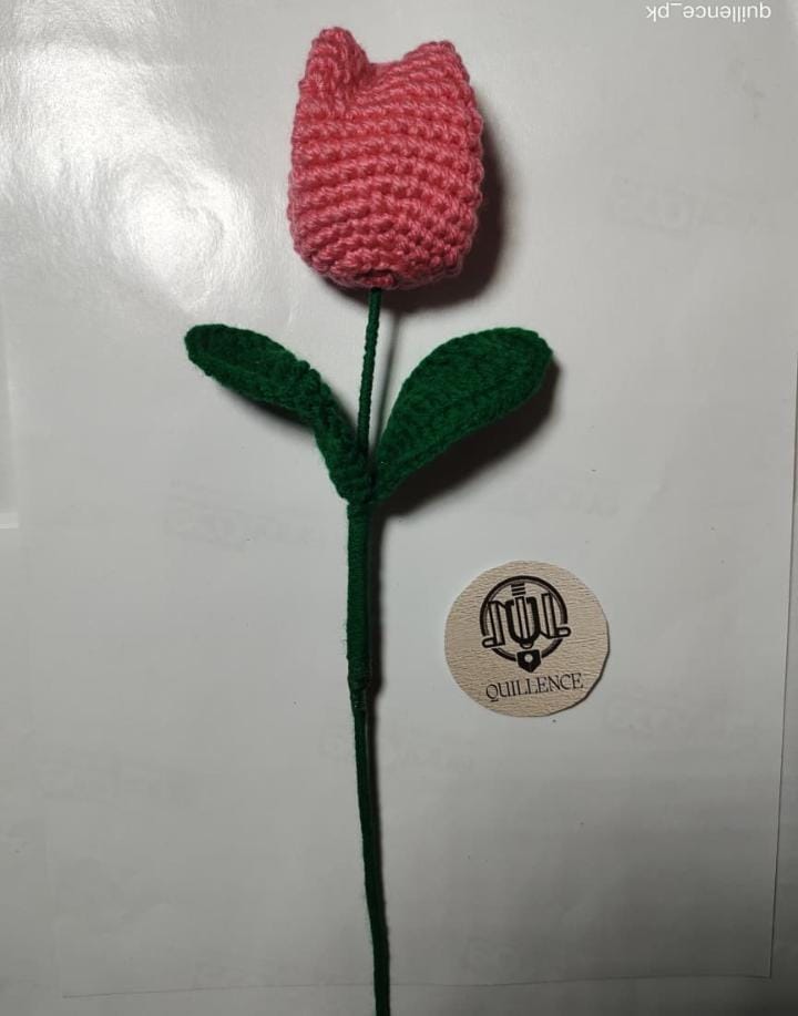 Crochet Flowers 3