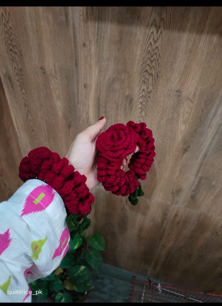Crochet Gajray 8