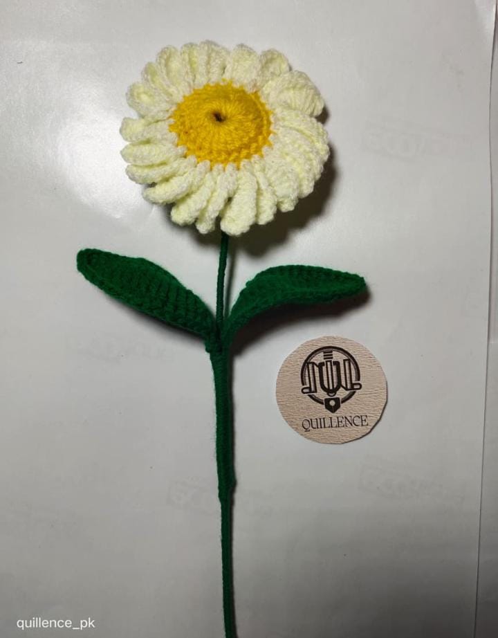 Crochet Flowers 2